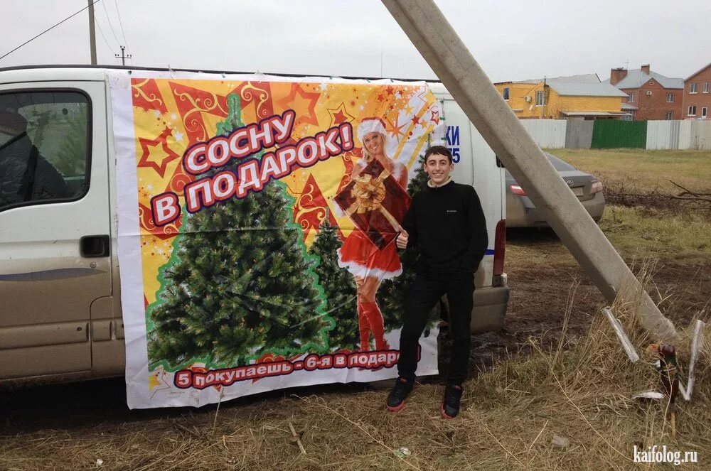 новогодний елочный базар. реклама фото елок. новогодняя елка. девушка у елки. Artificial tree елка.