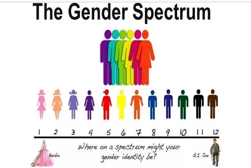 Гендер. Гендер человека. Гендерная таблица. Gender список. Gender 1.16 5