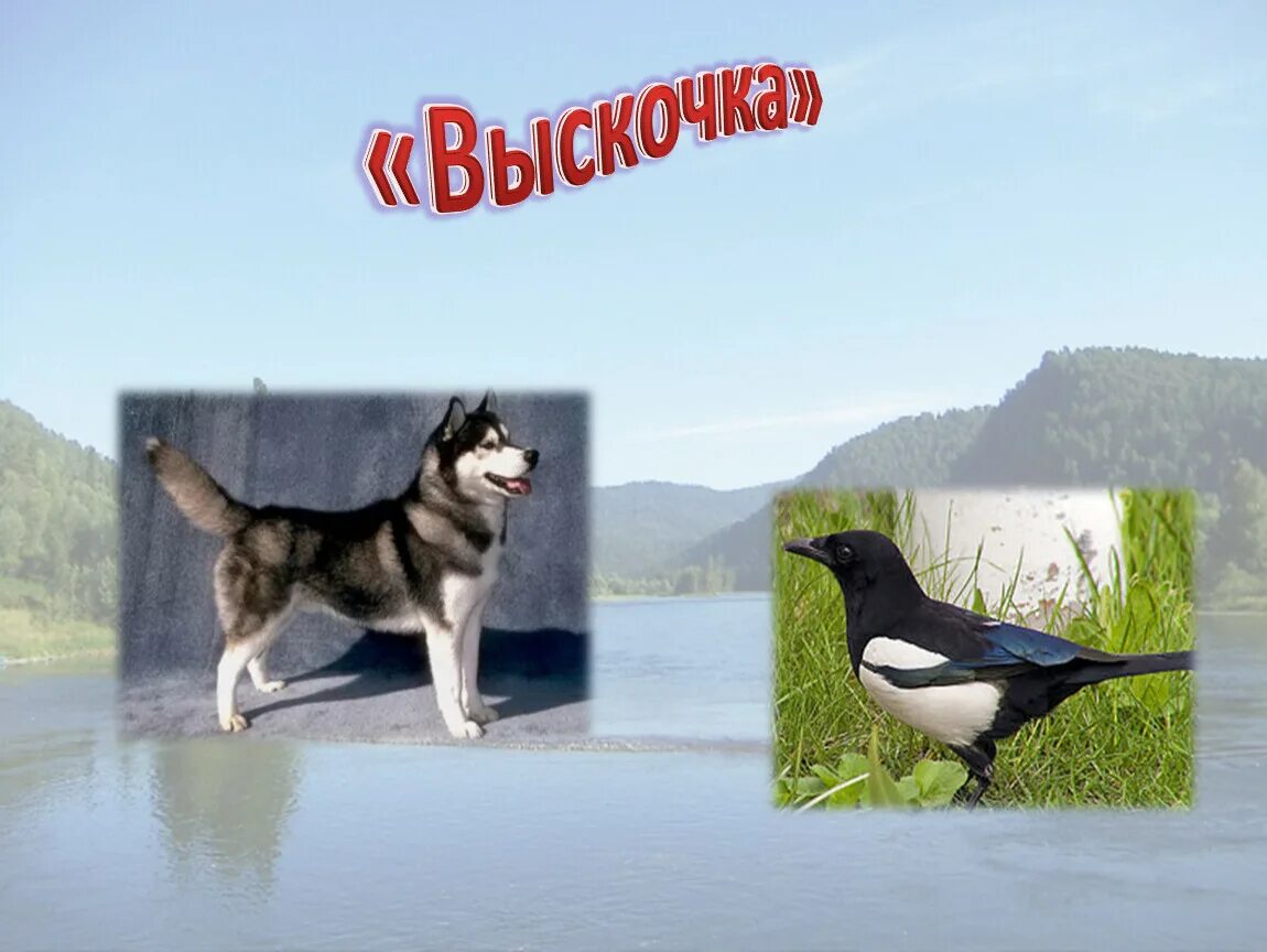 Кластер выскочка пришвин. Выскочка пришвин 4 класс. Синквейн выскочка пришвин 4 класс. Лайка выскочка. М пришвин выскочка краткое