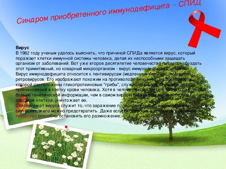 1 декабря борьба со спидом презентация. Всемирный день борьбы со спидом презентация. 1 декабря день борьбы со спидом презентация. всемирный день спида презентация. презентация 1 декабря всемирный день борьбы со спидом.