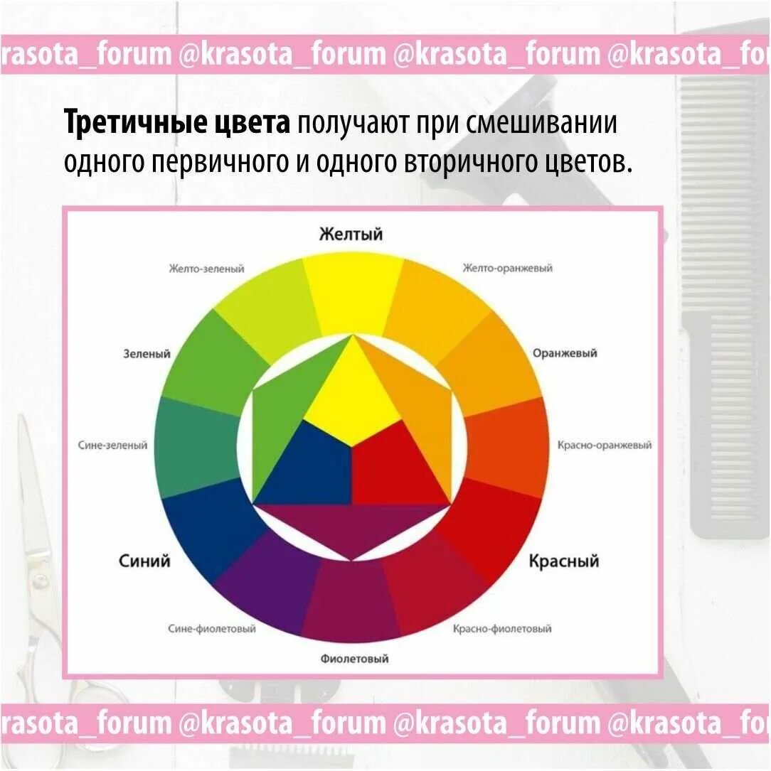 Из каких цветов состоит палитра. Из каких цветов состоит палитра