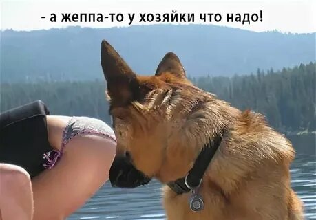 Удафком