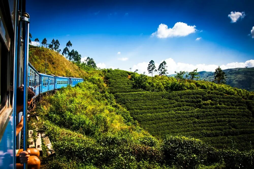 Шри ланка дорого. Чайные плантации Нувара Элия. Nuwara Eliya Шри Ланка. Шри Ланка чайные плантации Нувара Элия. Нувара Элия Шри Ланка поезд.