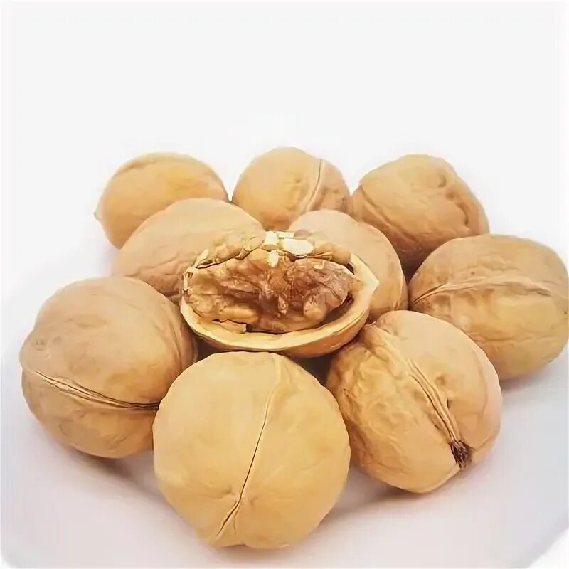 44,718 Pecan стоковые фото - бесплатные и стоковые фото RF от Dreamstime - Стран