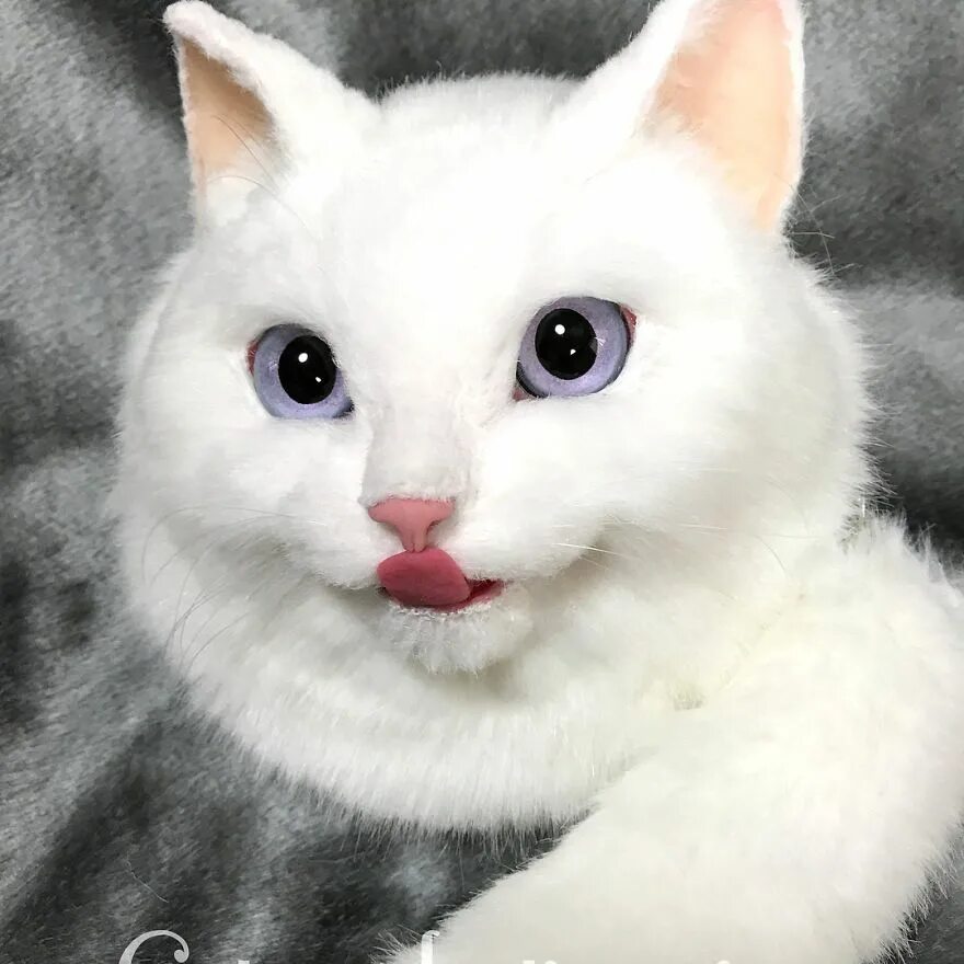 Create cat