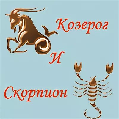 Козерог и скорпион мужчины