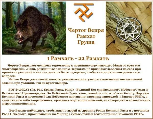 Картинка лося по славянскому календарю