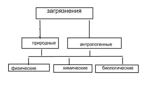 Виды загрязнения окружающей среды делят на