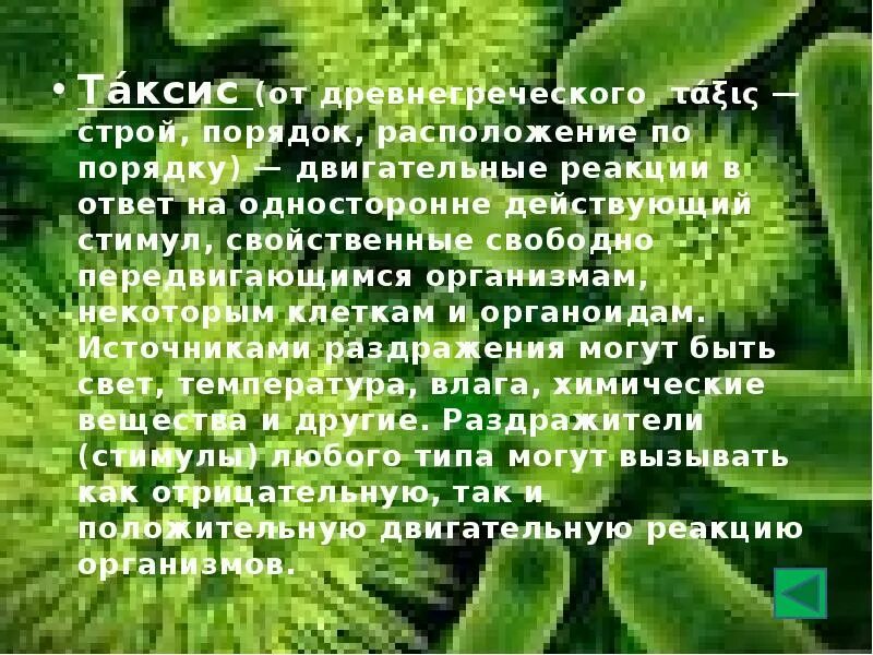 Таксис это кратко. Таксис. реакции организма биология. некоторые организмы могут развиваться в организме за день. положительный таксис.