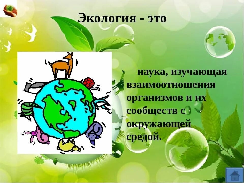 Подготовить сообщение об одном экологическом дне
