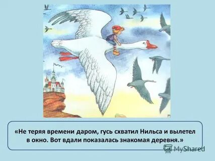 Путешествие нильса с гусями главная мысль
