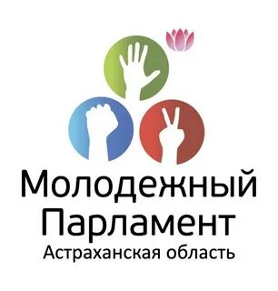 Молодежный парламент спб