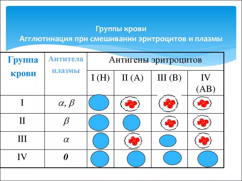 Подходящая группа крови к 2. Таблица агглютинации групп крови. Смешивание групп крови таблица. Агглютинация 4 группы крови. Агглютинация 2 группы крови.