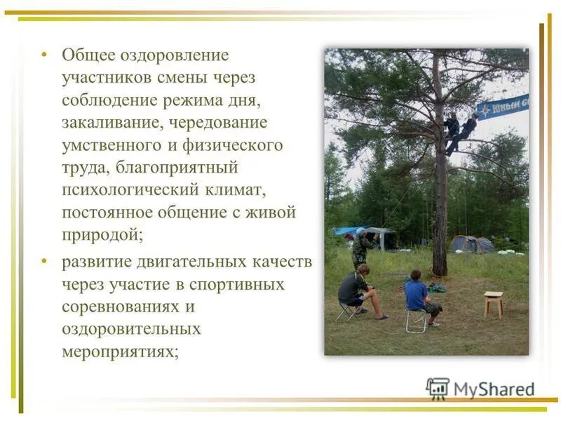 гис отдыха и оздоровления