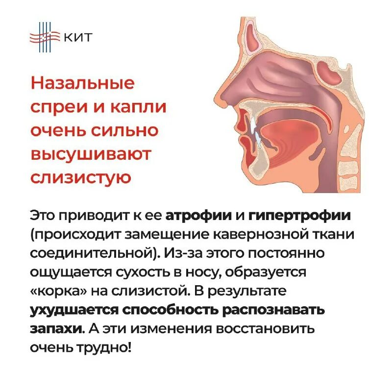Таблетки для восстановления слизистой носа. Как сузить сосуды в носу без сосудосуживающих. Капли в нос от привыкания к каплям. Капли в нос для восстановления обоняния. Мазь в нос от насморка и заложенности носа.