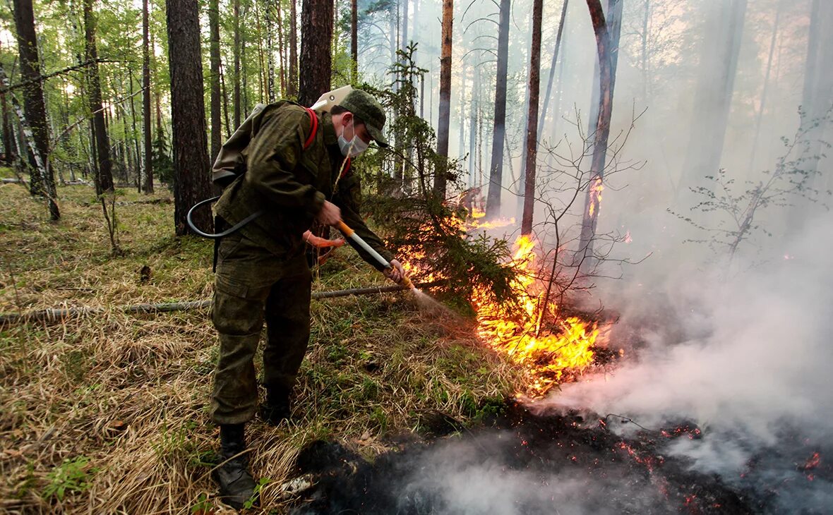 Источники лесных пожаров