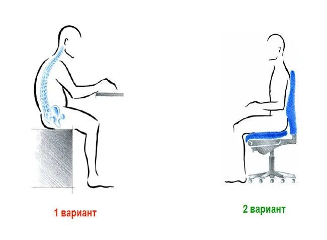 Как правильно сидеть. Правильное положение тела за компьютером. Как правильно сидеть на кресле. Позвоночник сидящего человека. Почему нельзя сидеть в туалете