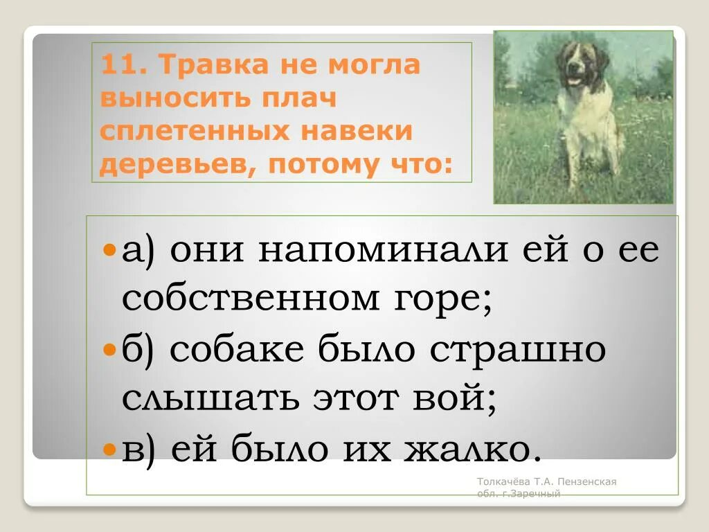 Травка не могла выносить плач сплетенных навеки деревьев потому что. Почему травка не могла выносить плач сплетенных навеки деревьев. Пришвин кладовая солнца собака травка. Сочинение "собака травка - друг человека".. Травка имя прилагательное