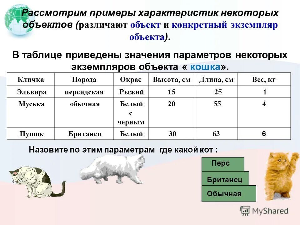 Параметры object. Табличная модель кошки. Характеристика объекта пример. Свойства кошки как объекта. Таблица характеристики объекта.