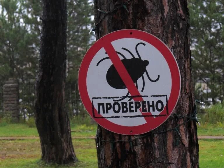 Клещи территория
