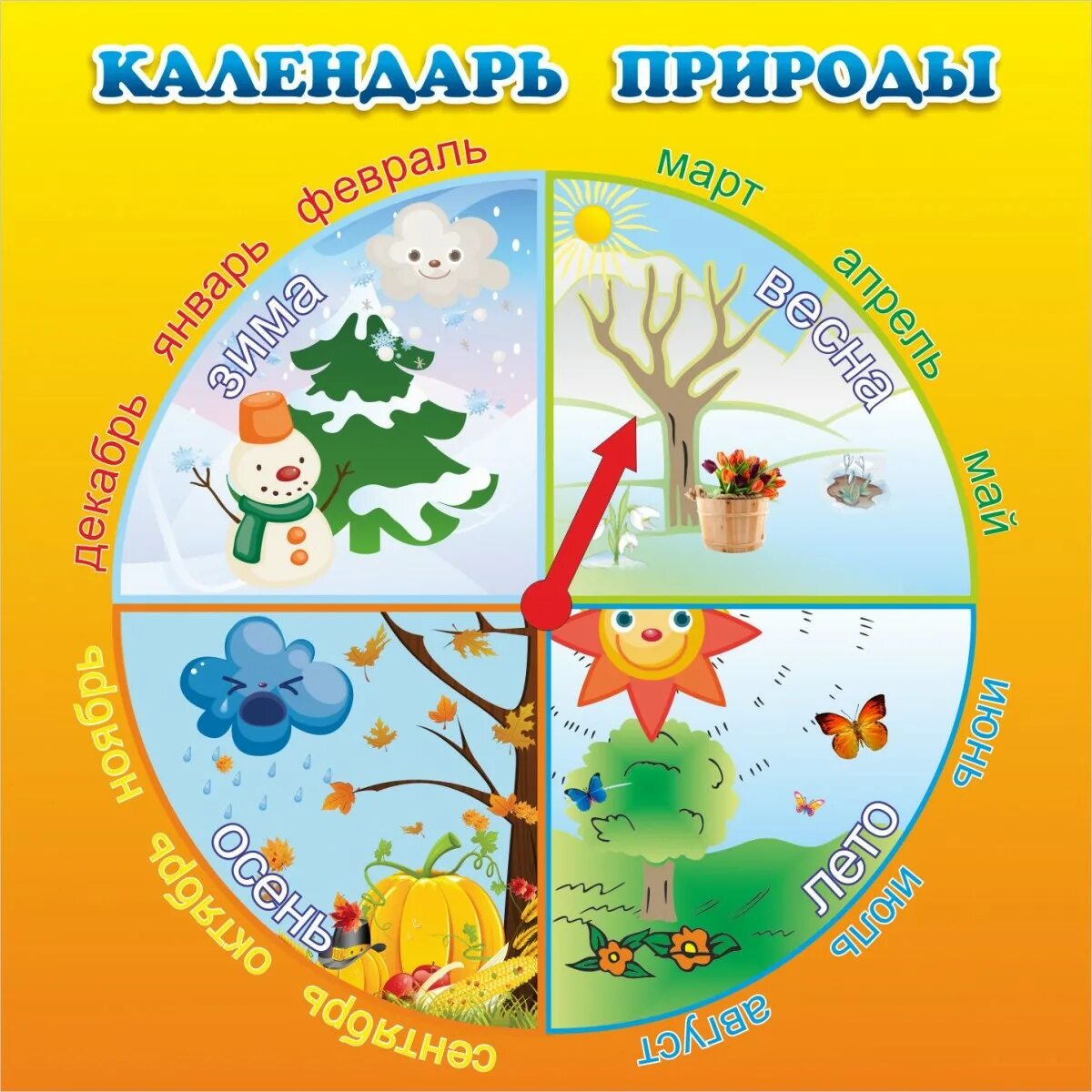 Светит круглый год. Календарь природы. Календарь природы для детского сада. Календарь природы по месяцам для детского сада. Времена года для календаря природы в детском саду.