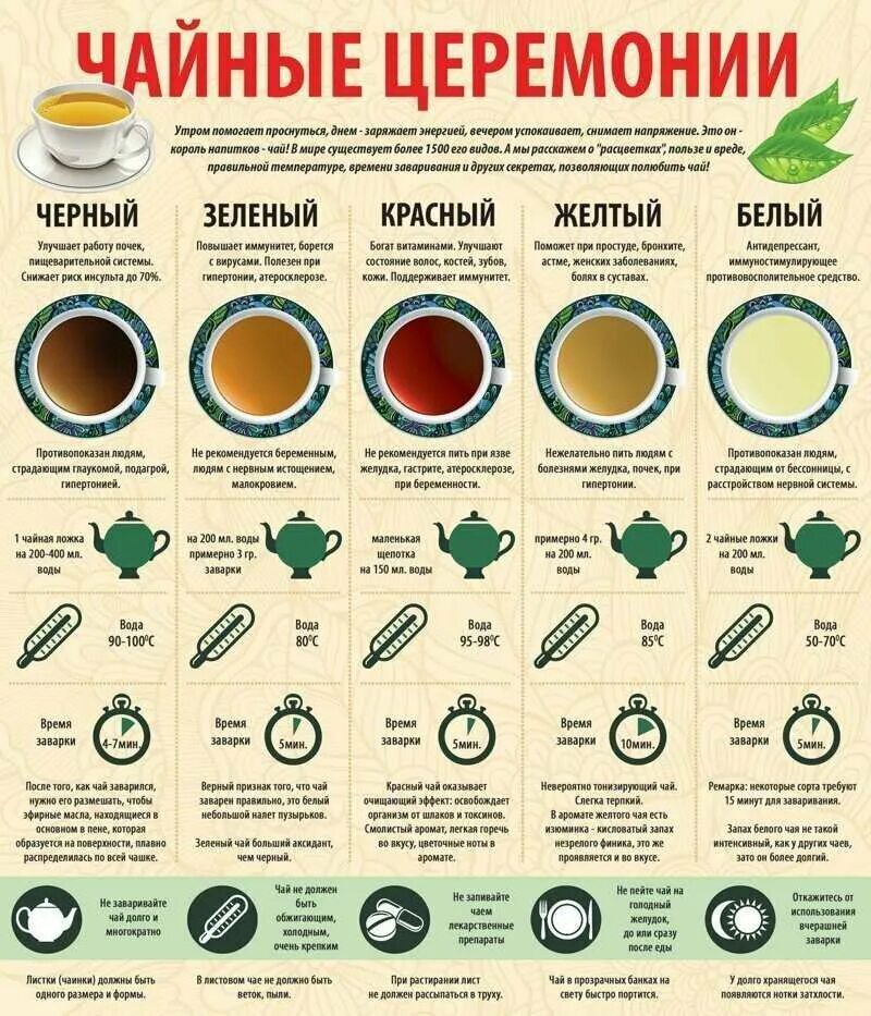 Как правильно пить зеленый. Виды чая. как правильно заваривать чай. инфографика чай. чача виды.