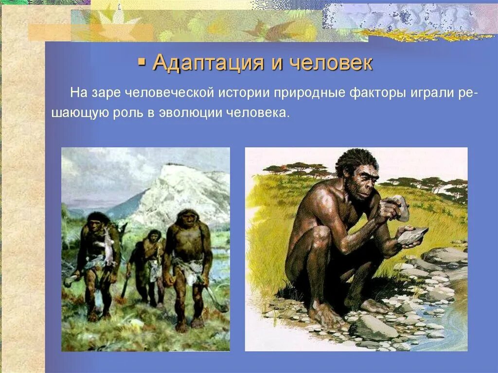 Адаптация человека. Адаптация человека к природным условиям. Приспособление человека к окружающей среде. Приспособления человека к разным природным условиям.