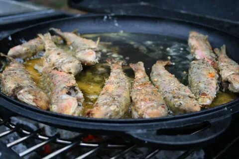 Вкусно пожарить кефаль