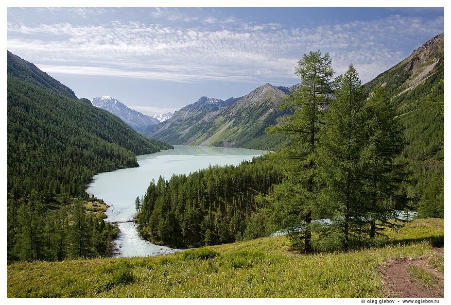 Дневник республика алтай. Кучерлинское озеро. Природный парк России картинки. Урочище Белухинское. Сибирь летом сверху.