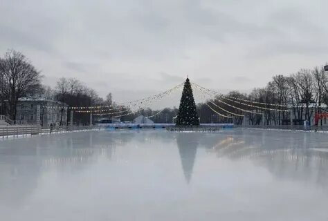 Каток на елагином