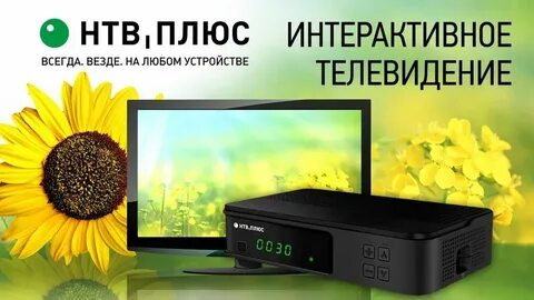 Ntvplus tv