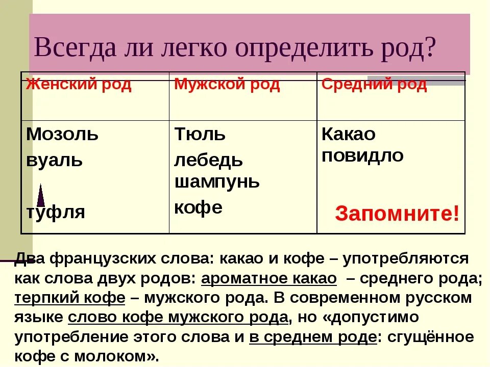 Мужской род исключения. Мозоль какой род. Род слова мозоль. Мозоль род существительного род. Род слова какао.