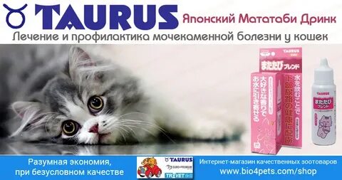 Профилактика кошек