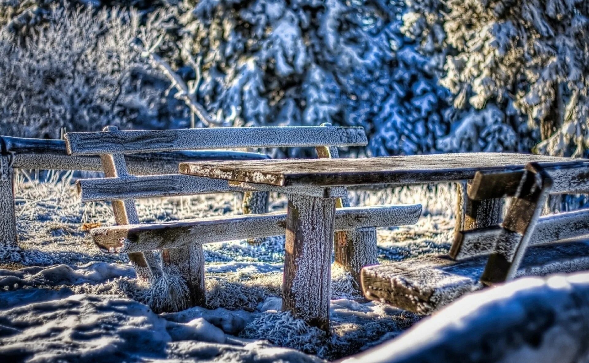 Картинка необычный зима. Зима фото. Зима скамейка. Зимние фото. Зимние картинки красивые.