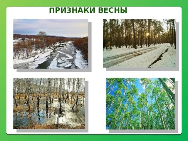 Признаки весны отраженные в произведениях писателей 2. Признаки весны. Коллаж признаки весны. Весенние признаки.