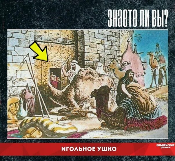 Верблюд проходит через игольное ушко. Игольное ушко верблюд иерусалим. верблюд игольные уши ворота. игольные уши в библии что это. удобнее верблюду пройти сквозь игольные уши.