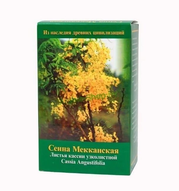 Сенна узколистная. Порошок сенна мекканская. Сенна меканская. Сенна остролистная. Сенна кассия.