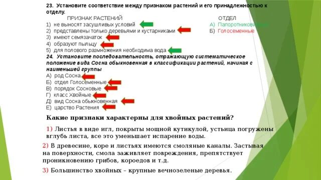 Верны ли следующие суждения о размножении голосеменных. Установите соответствие между характеристиками и отделами растений. Не выносят засушливых условий папоротники или Голосеменные. Выносят ли папоротники засушливые условия. Признаки растения подготовка к тесту.