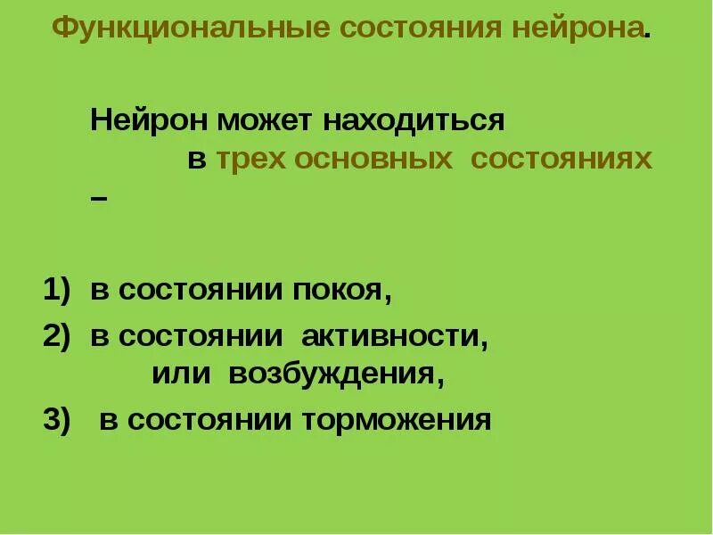 Как проявляется активность нейронов?. Псевдоуниполярные нейроны строение. Состояния нервных клеток. Ядро нейрона строение и функции. Состояния нервных клеток.