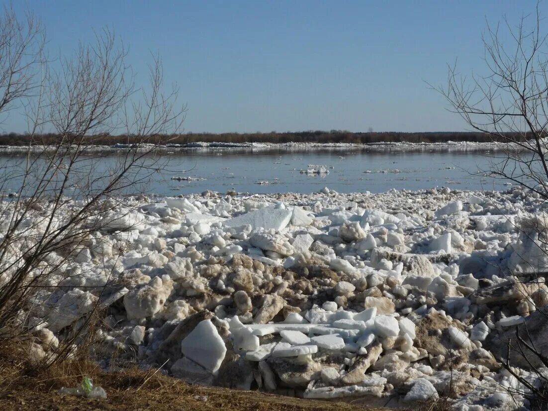 Уровень воды в северной двине. Ледоход на Северной Двине 2023. Ледоход на Северной Двине. Ледоход Северные реки. Ледоход на реке.