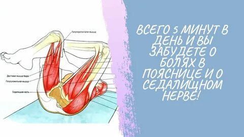 Седалищная точка