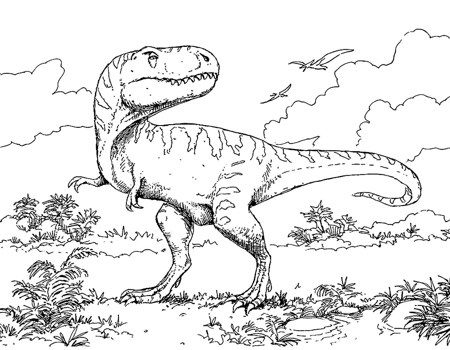 Динозавры раскраска а4. Раскраска динозавры мир Юрского периода. Раскраска Тираннозавр рекс мир Юрского периода. Раскраска динозавр Аллозавр.