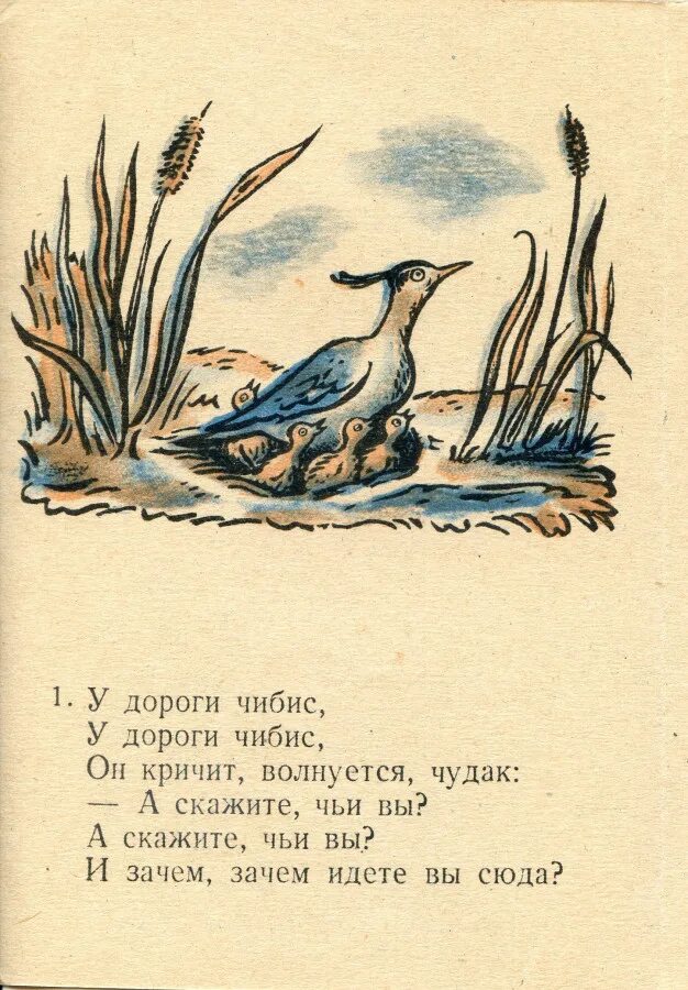 Песенка про Чибиса. Чибис стихотворение. Чибис стихотворение для детей. Слова песенка про Чибиса.