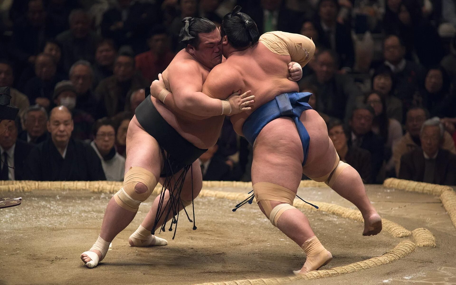 Схватки двух якодзун. Японские борцы сумо.