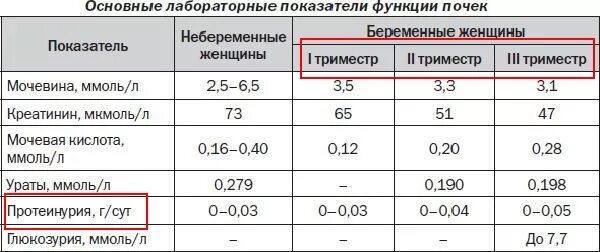 Норма белка в моче у беременных 2 триместр. Норма белка в моче у беременных в 3 триместре. Суточный белок в моче при беременности норма 3 триместр. Белок в моче 3 триместр норма.