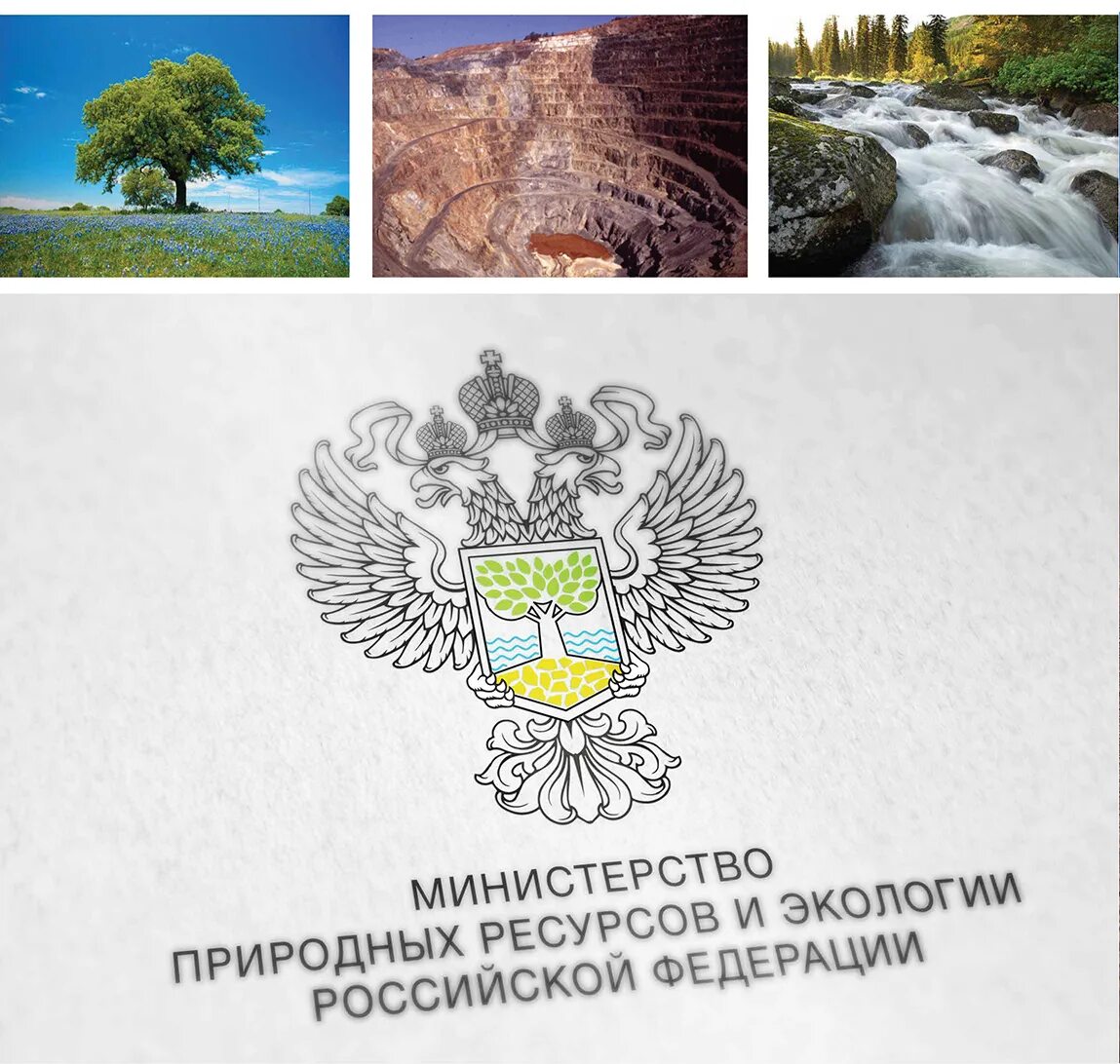 Министерство природных ресурсов и экологии РФ. "Министерство природных ресурсов РФ" 2002 лого старый. Министерство природных ресурсов России герб. Минприроды РФ эмблема. Министерство природных ресурсов и экологии структура