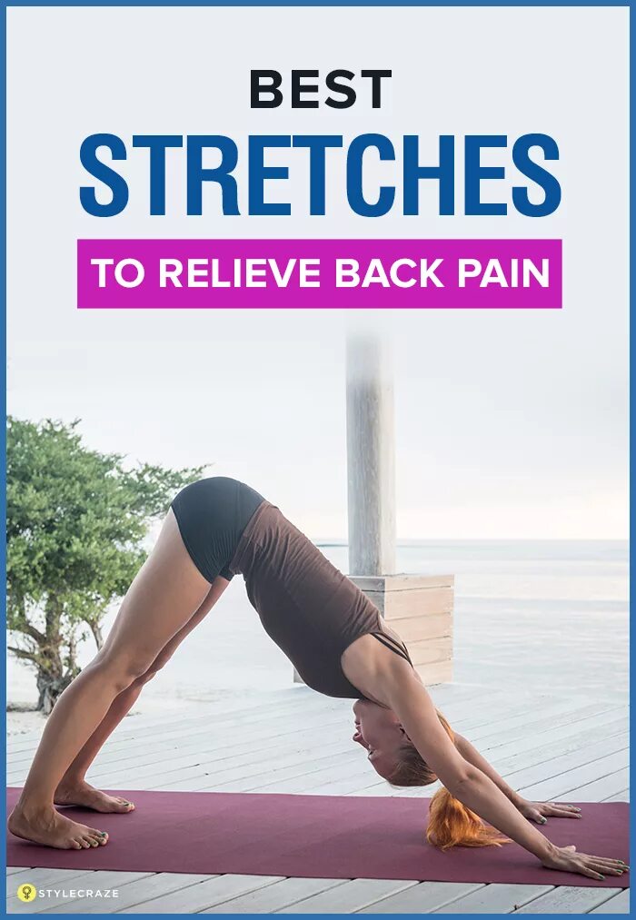 Better stretching. Upper back stretch. Well stretch. Well stretch Bio.