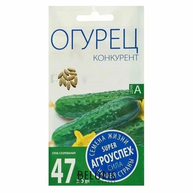 Огурец буян. Буян сорт огурцов. Огурец буян. Семена огурца буян. Буян сорт огурцов.