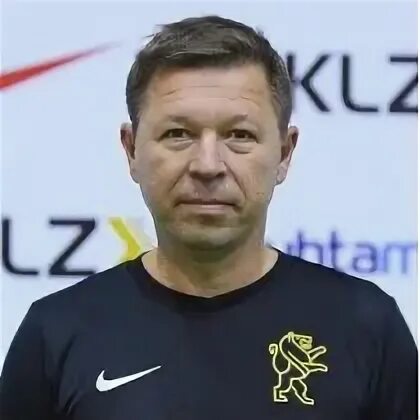 Толстиков в г
