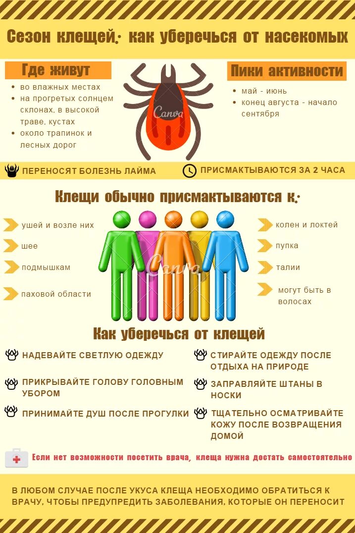 Активность клещей при какой температуре. Памятка клещи. профилактика от клещей. клещи инфографика.